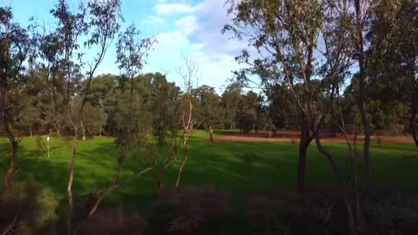 Scenic Aerial Rise Shot Trees Parkland Perth Reg Bond Reserve — Vídeo de Stock