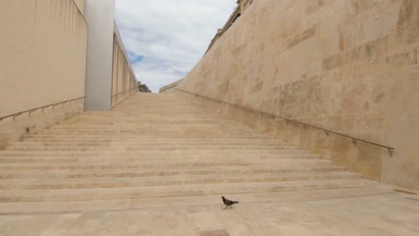Trappen Bij Stadspoort Van Valletta Malta Slow Motion Beelden — Stockvideo