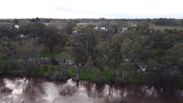 Sel Altındaki Kuğu Nehri Perth Kuğu Vadisi Sola Dönen Hava — Stok video