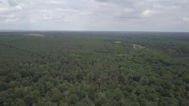 张伯德 德隆城堡围城公园的空中景观 — 图库视频影像