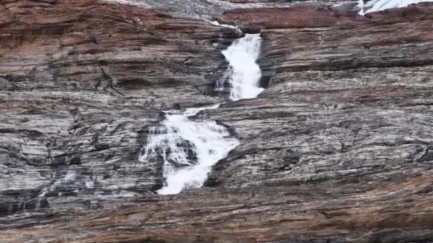Svartissen Glacier Melting Climate Change Destroy Nature Kill Animals Water — Video