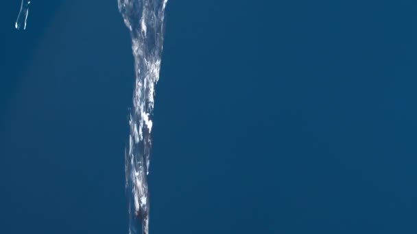 Prawdziwy Spadek Czystej Wody Plusk Niebieskim Tle Fotografowania Zwolnionym Tempie — Wideo stockowe