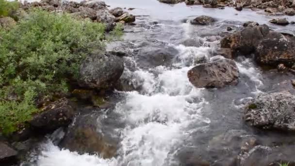 Rivière Rapide Eau Blanche Eau Potable Naturelle Laponie Finlandaise Près — Video
