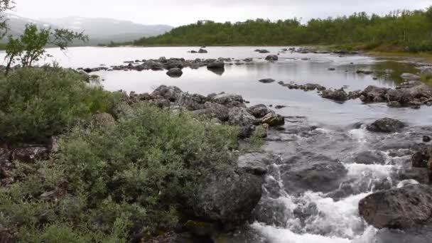 フィンランドのキルピジャーヴィからの静的な映像 海岸線の灰色の岩や緑の木々の上を流れる川 北極海の水は冷たい 純粋で飲みやすい新鮮な — ストック動画