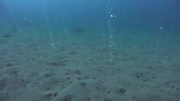 Hot Air Bubbles Underwater Rising Surface Underwater Volcano — Vídeos de Stock