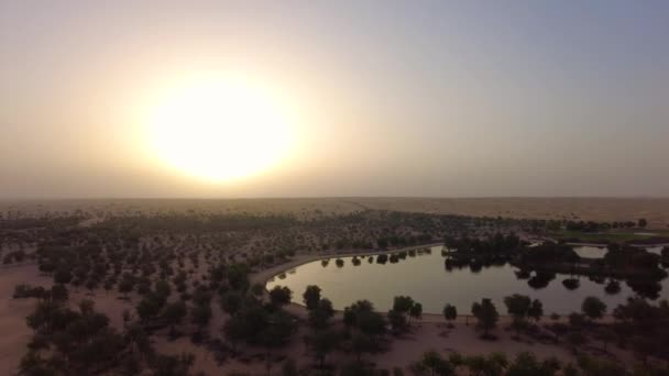 Lake Middle Sahara Desert Dubai — Vídeo de stock