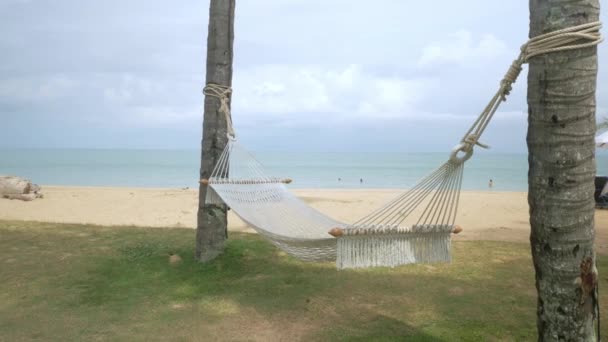 Puste Hamak Zielonym Trawniku Pobliżu Piaszczystej Plaży Tropikalnej Swinging Łóżko — Wideo stockowe