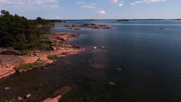 Aland Adalarının Kayalık Sahillerindeki Kuğular Üzerinde Havadan Görüş Finlandiya Yaz — Stok video