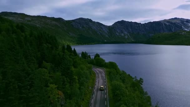 Aerial Ampui Kultainen Auto Läpi Vihreän Metsän Maiseman Lofoten Pohjois — kuvapankkivideo