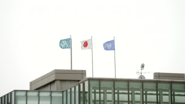 Japan Flags Flying Building Rooftop Close — Vídeo de stock