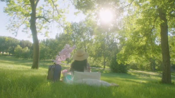 女性は快適な日に大きな木の木陰でピクニックを楽しんでいます コンフェデレーションパーク — ストック動画
