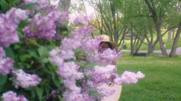 여름옷을 모자를 에티오피아 여자가 라일락 냄새를 멈춘다 — 비디오