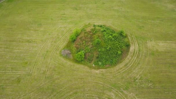 ヨーロッパの農業分野の真ん中にあるバイキング 鉄または青銅器時代の埋葬塚 Drone — ストック動画