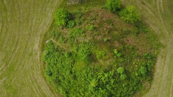Aerial Drone Shot Bronze Iron Age Tumulus Scandinavia Восхождение — стоковое видео