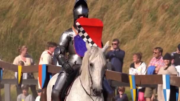 Chevalier Médiéval Armure Protectrice Cheval Avec Bouclier Sur Champ Bataille — Video