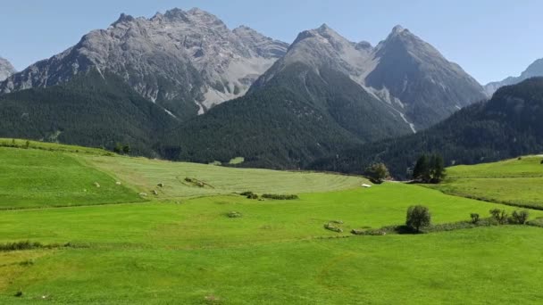 Increíble Prado Verde Con Montañas Fondo Suiza — Vídeos de Stock