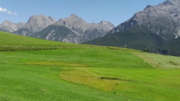 Krásná Zelená Pole Hoře Švýcarsku — Stock video