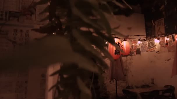 Jardim Japonês Com Luzes Suspensas — Vídeo de Stock