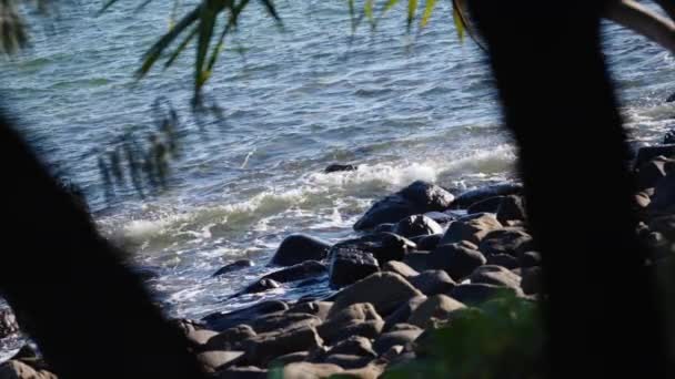 Scenic Rocky Beach Waves Crashing Rock Shore Tree Foreground Slow — Stok Video
