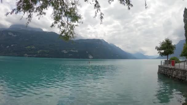 静かなブリエンツ湖のSupボード上の認識できない人パドリング スイス — ストック動画