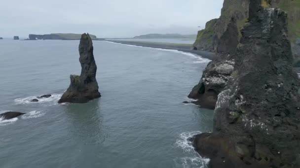 Flock Birds Nesting Reynisdrangar Sea Stacks Perto Praia Reynisfjara Islândia — Vídeo de Stock