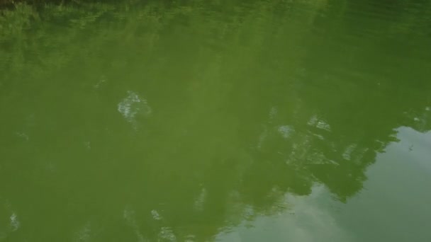 Отражение Поверхности Озера Беспилотник Видео Разрешении — стоковое видео