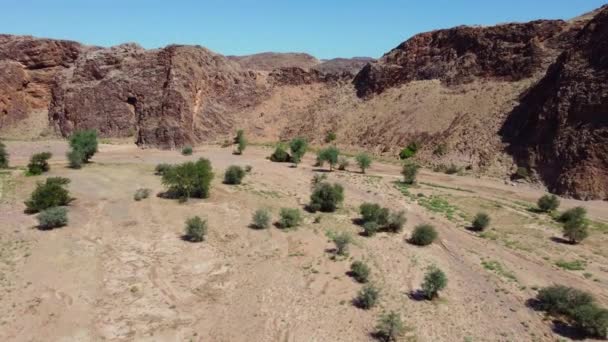 Scénická Letecká Krajina Suchého Koryta Řeky Horské Divočiny Severní Namibie — Stock video