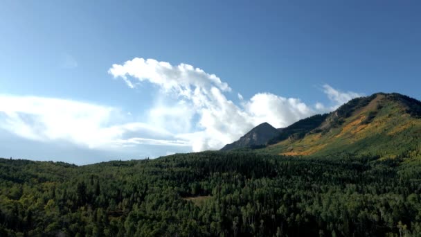 Sonbaharda Bir Dağın Yamacındaki Aspens Ler Altın Rengidir Kaygan Hava — Stok video