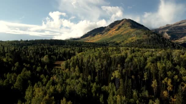 Latanie Nad Zalesioną Doliną Kierunku Szczytu Góry Jesiennymi Kolorami Osiki — Wideo stockowe