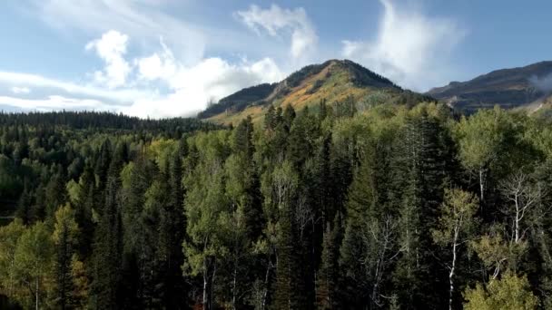 Aspen Färbt Sich Herbst Den Hochgebirgshängen Von Utah Gelb Luftaufnahme — Stockvideo
