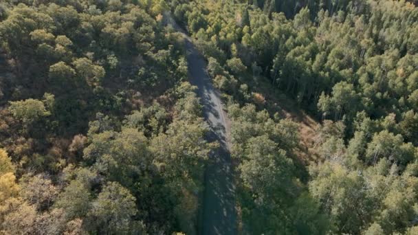 森の中を山道に沿って車が運転 秋の荒野の風景を明らかにするために空中ビューを傾斜 — ストック動画