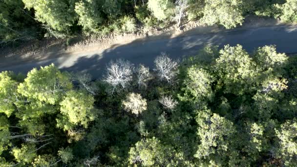 Carro Dirige Longo Uma Estrada Vale Florestado Seguida Inclinar Para — Vídeo de Stock