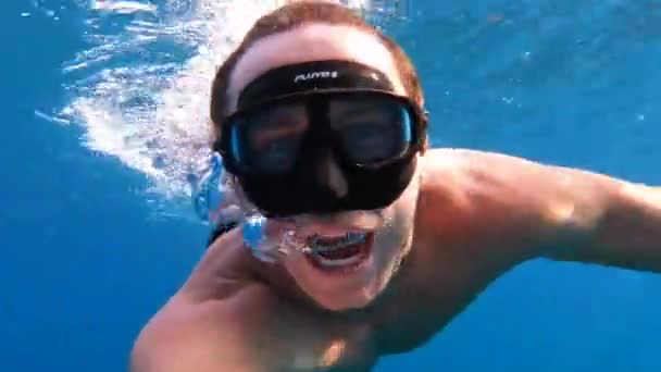 Lykkelig Mann Med Dykkermaske Nyter Svømme Vann Det Turkis Blå royaltyfrie stockvideoer