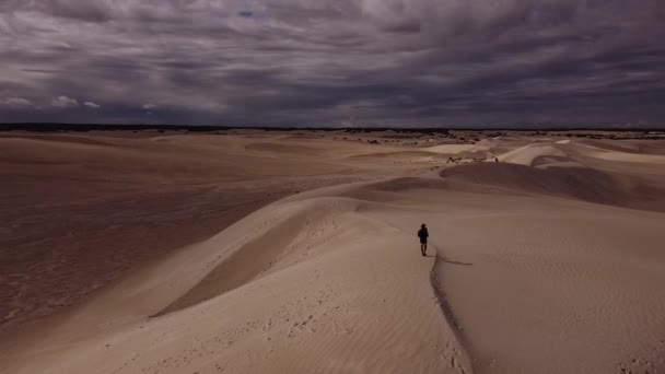 Lancelin Sand Dunes Largest Western Australia Long Main Attraction Lancelin — Vídeos de Stock