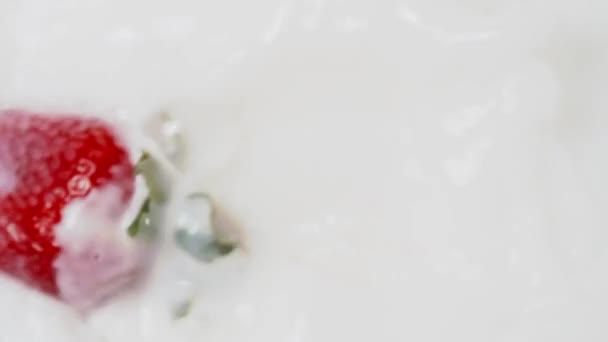 Kırmızı Çilekler Sütün Içine Yavaş Çekimde Sıçrıyor — Stok video