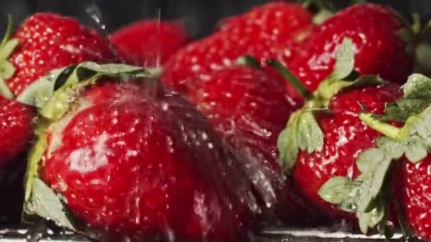 Wasser Spritzt Auf Rote Erdbeeren — Stockvideo