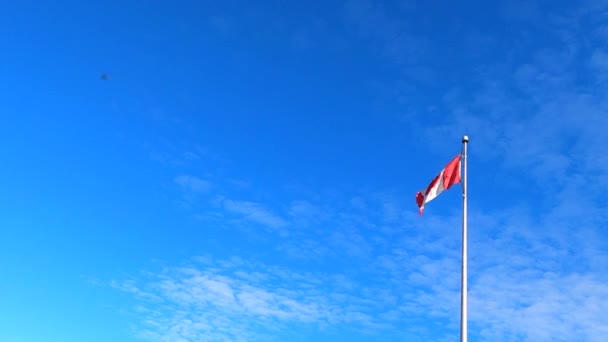 Καναδική Εθνική Σημαία Στον Πόλο Κυματίζει Μπλε Ουρανός Στο Παρασκήνιο — Αρχείο Βίντεο