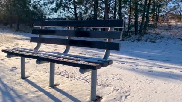 日出时分 沿着被雪覆盖的空长椅在人行道上飞奔 — 图库视频影像