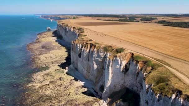 夏の間に上にエチケットと農業分野の有名な巨大な崖を示す空中軌道 フランス ヨーロッパ — ストック動画