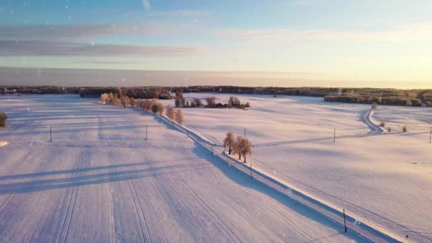 Téli Arany Naplemente Fehér Mezőgazdaságon Hóesés Idején Légi Kilátás — Stock videók