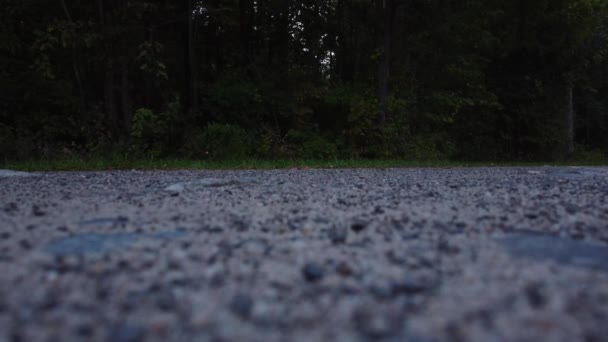Знімок Людини Джинсах Тенісних Туфлях Йдуть Брудній Дорозі — стокове відео