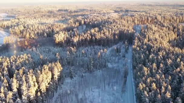 降雪時の凍る森を抜ける氷の冬の道 空中風景 — ストック動画