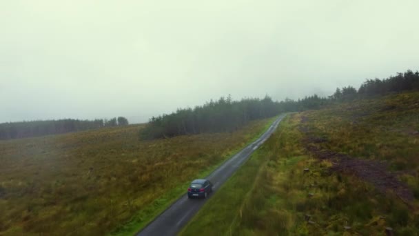 雨の日に山道で車を運転する — ストック動画