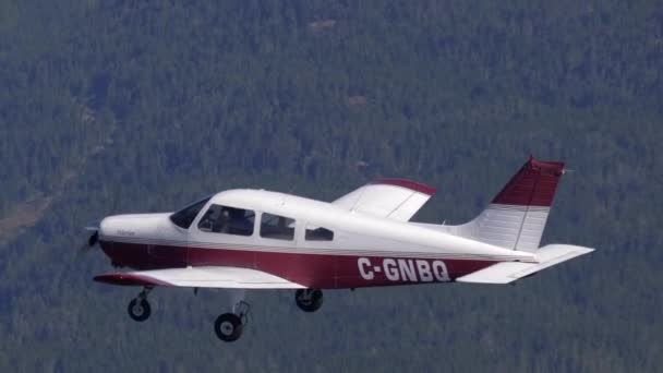 Small Canadian Registered Piper Flying Formation Air Air View — Αρχείο Βίντεο
