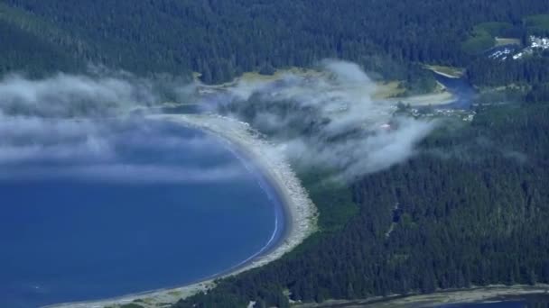 Luftaufnahme Von Sommerstrand Und Küstenwald Einem Sonnigen Tag — Stockvideo