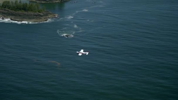 Pilot Terbang Pesawat Swasta Menikmati Indah Pantai Scenery Udara Air — Stok Video