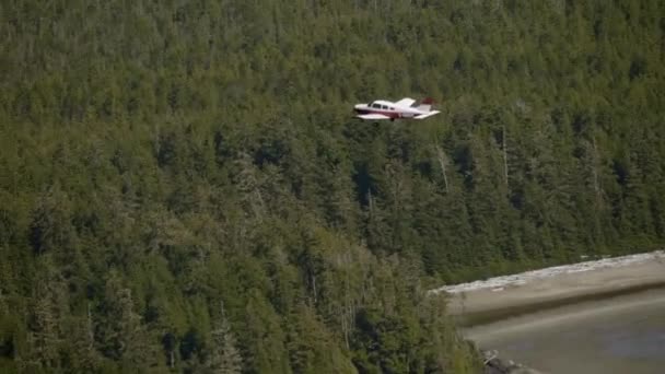 Leichtes Privatflugzeug Fliegt Über Dichten Wald Luft Luft — Stockvideo
