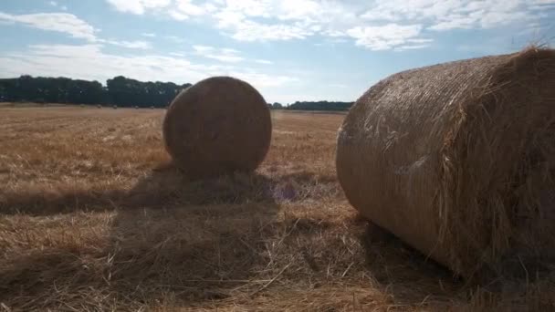 Schwenken Von Zwei Heuballen Auf Einem Feld England Einem Sonnigen — Stockvideo