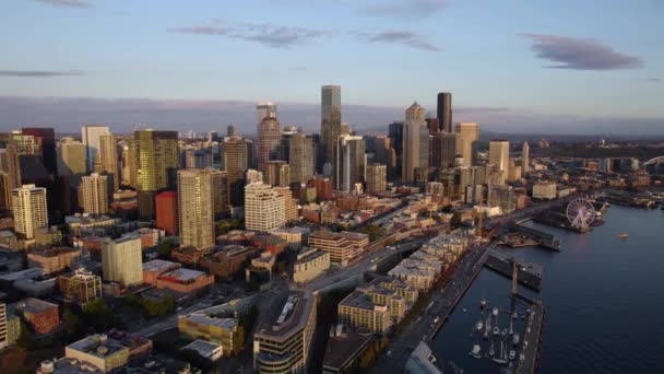 Mañana Serena Paseo Marítimo Central Seattle Rodeando Vista Aérea — Vídeo de stock