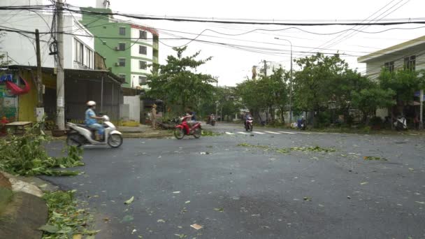 熱帯性暴風雨 アフター数学 葉が街中を通り バイクに乗る人が通り過ぎる — ストック動画